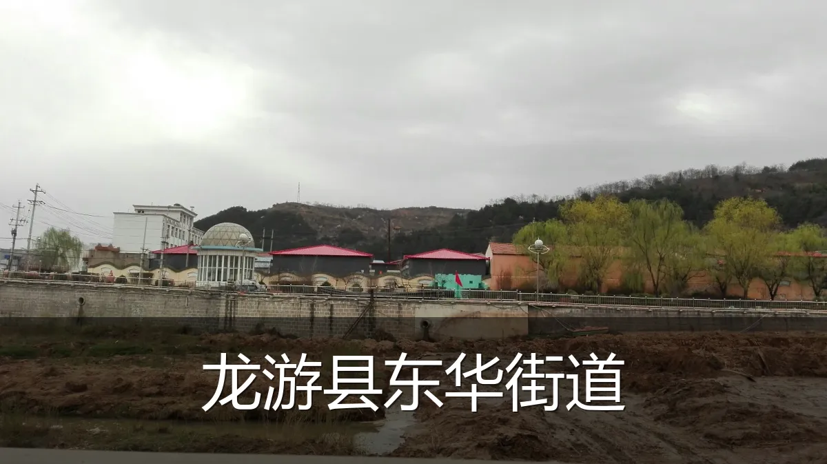 龙游县东华街道