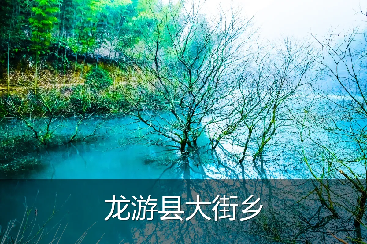 龙游县大街乡