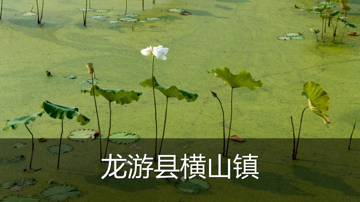 龙游县横山镇