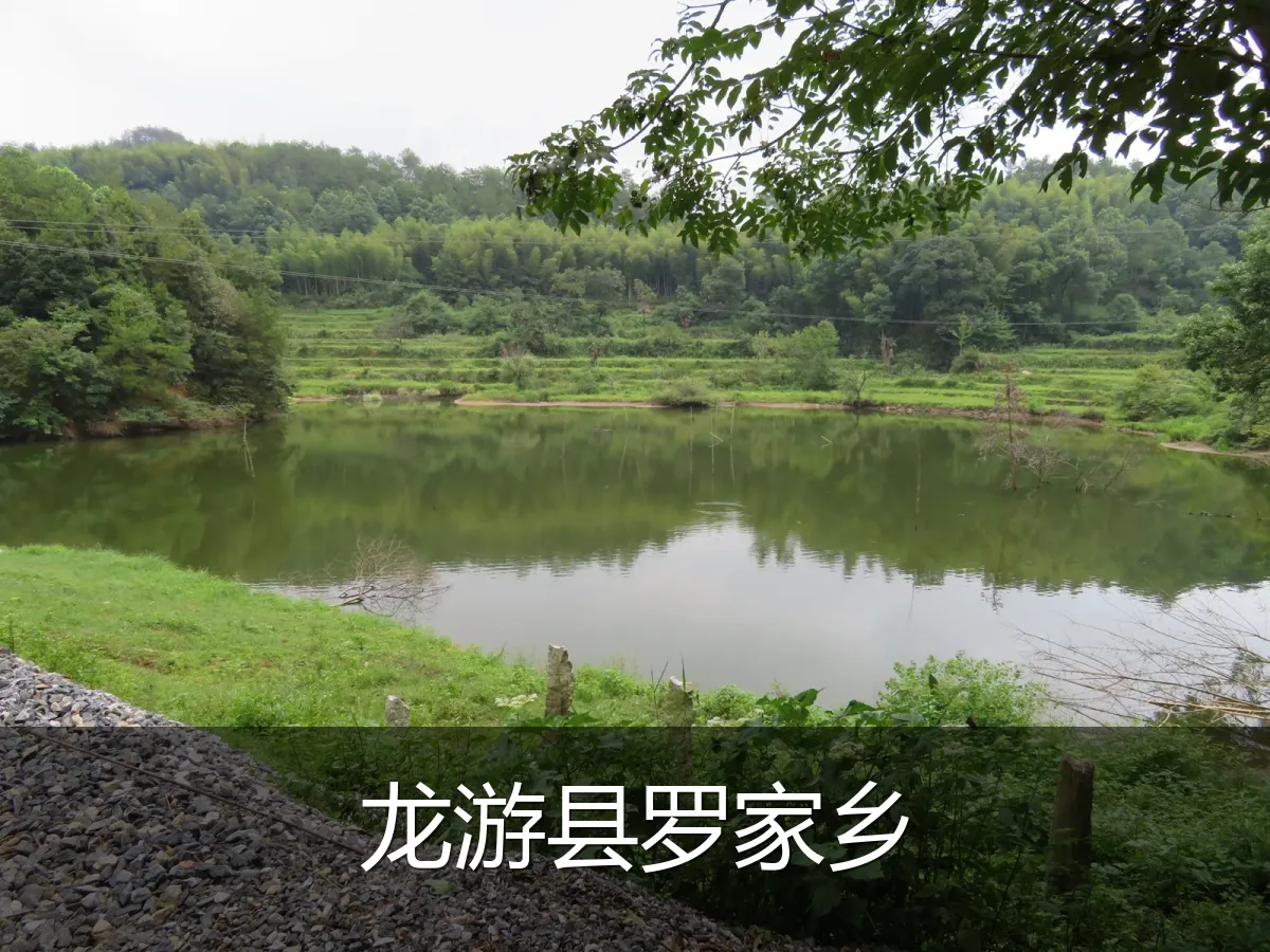 龙游县罗家乡电信宽带套餐展示图